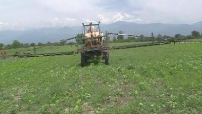 Fumigaciones con glifosato y problemas de salud en la localidad de Acheral