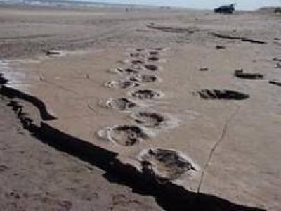 Pehuen Co: Descubren huellas de �and� de m�s de 12 mil a�os en la costa