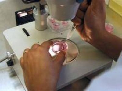 Ley de Fertilidad: La baja reserva de �vulos es la principal causa de infertilidad en la Provincia