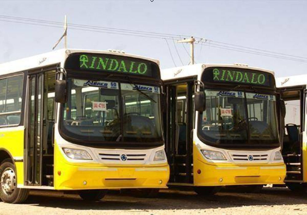 Comenzaron a llegar nuevos colectivos