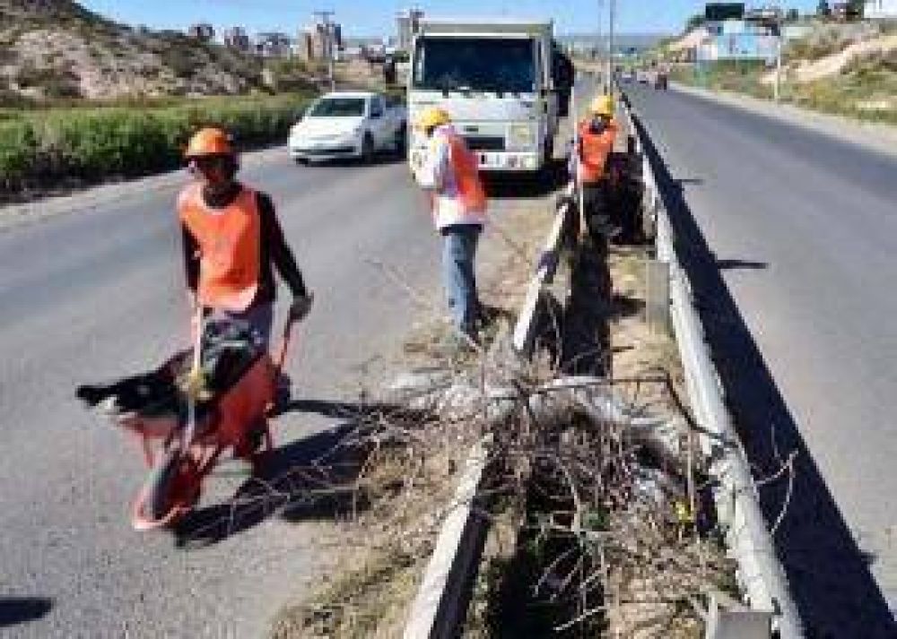 El municipio neuquino realiza limpieza en la Ruta 7