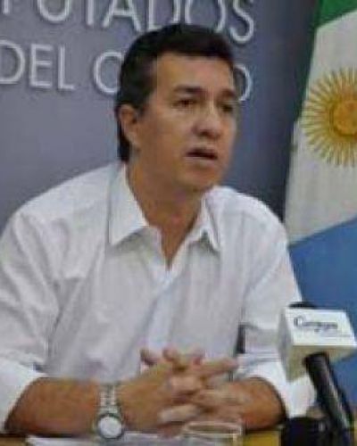 El oficialismo quiere debatir ley de internas abiertas
