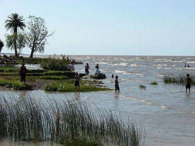 Al caer el sol, se levant� la b�squeda de Ricardo Milani 