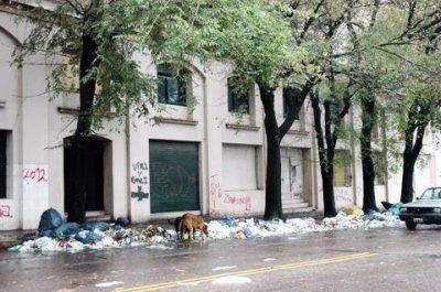 Graves deficiencias en el servicio de recolecci�n de residuos