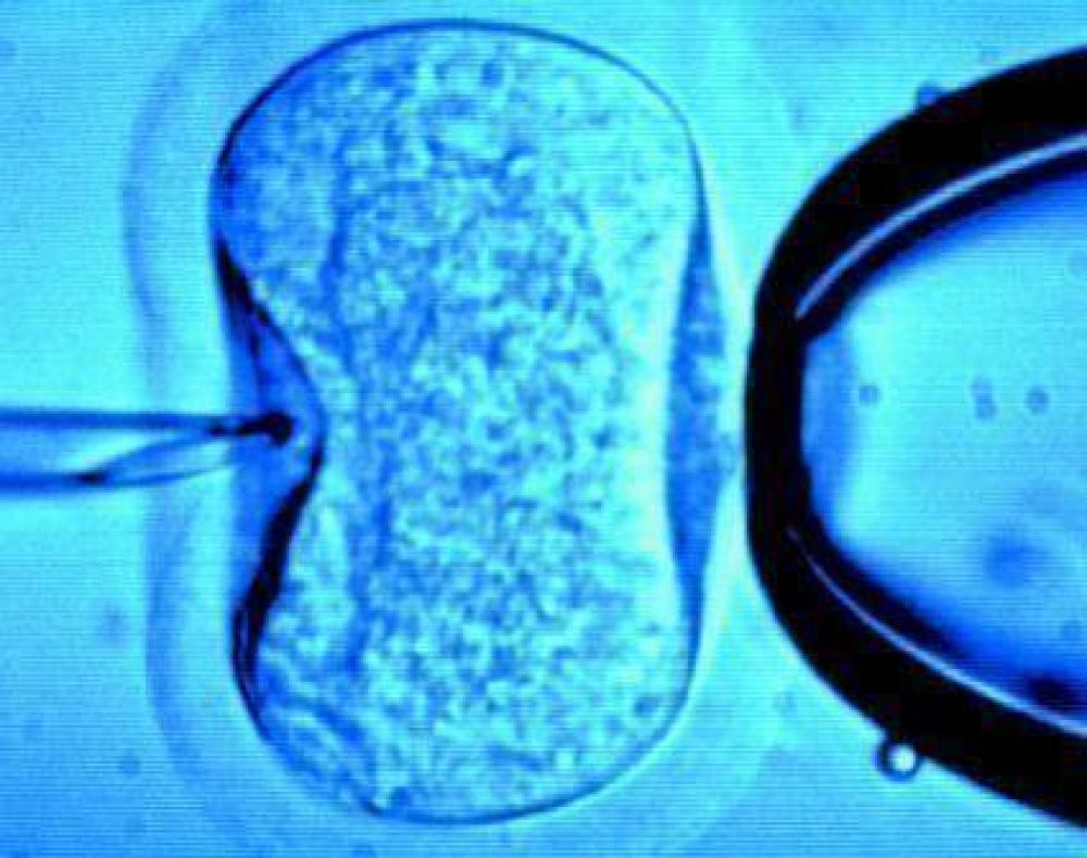 El primer beb� bahiense, por fertlizaci�n asistida gratuita, nacer� en abril