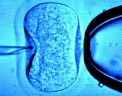 El primer beb� bahiense, por fertlizaci�n asistida gratuita, nacer� en abril