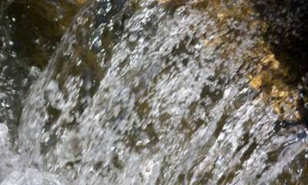 El anuncio de P�rez que "nos habla" de un mercado de aguas