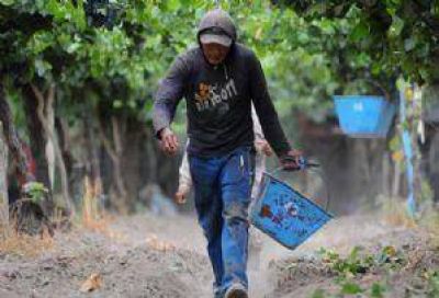 Insultos y aprietes tras la paritaria del sector vitivin�cola