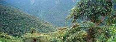Primera reuni�n anual del Ente de Promoci�n de las Yungas 