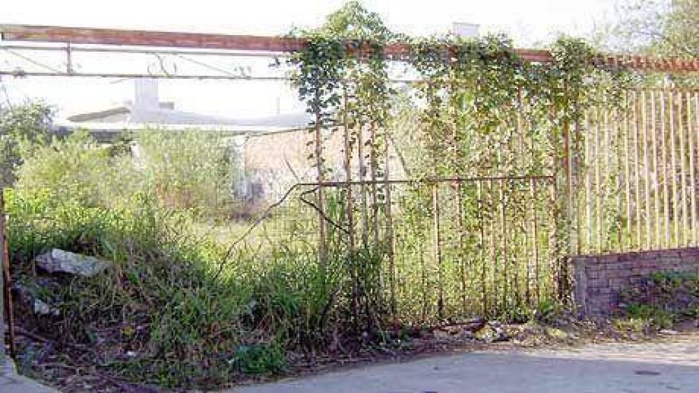 Tupido bald�o molesta a los vecinos de la zona
