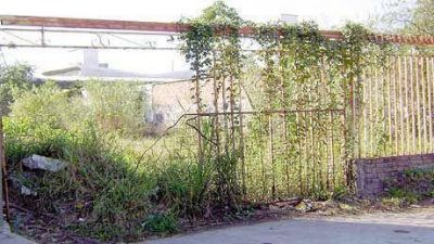 Tupido bald�o molesta a los vecinos de la zona