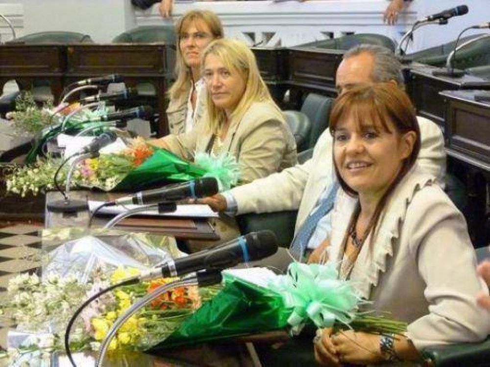 Las Malvinas dividi� las aguas en el Senado