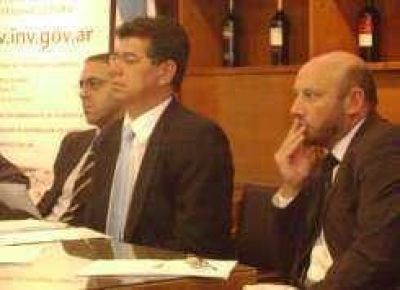 Oficial: este a�o la provincia cosechar� 20,5 % menos de uva