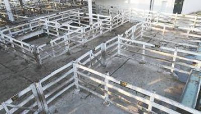 Gremio de la carne bloquea el mercado de Liniers para exigir el fin de despidos
