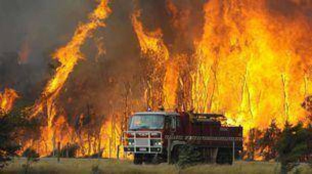 Australia: por incendios, 181 muertos, 500 heridos y 50 desaparecidos