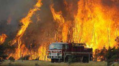 Australia: por incendios, 181 muertos, 500 heridos y 50 desaparecidos