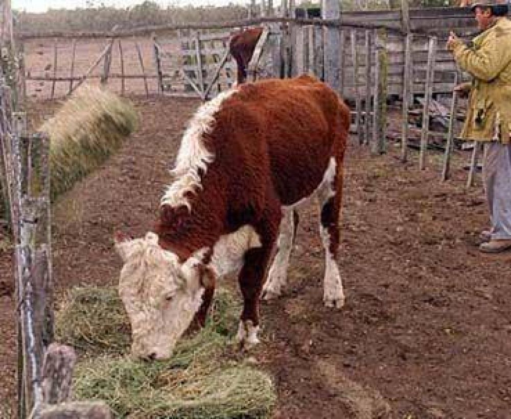 De no recibir llamado del gobierno, el campo volver� al paro en marzo
