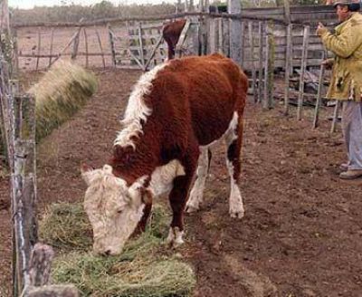 De no recibir llamado del gobierno, el campo volver� al paro en marzo
