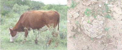 Los problemas del campo en el departamento Belgrano