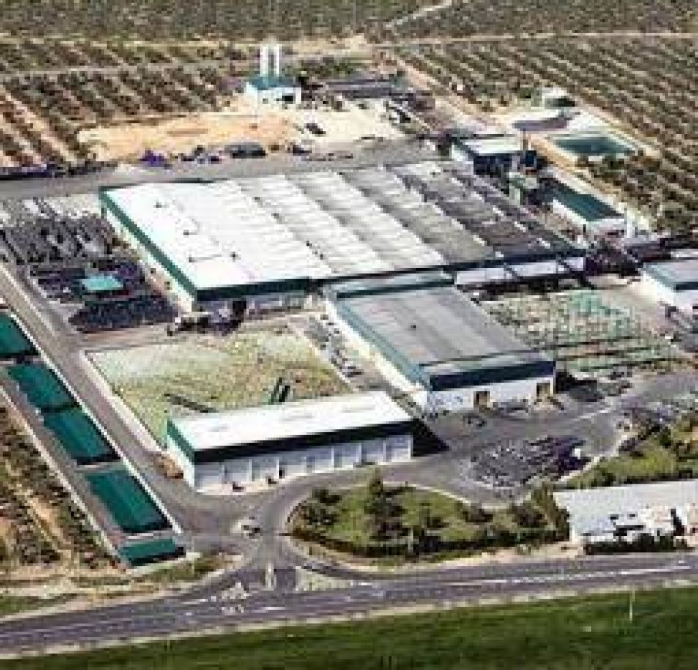 Buscan atenuar el impacto de la grave crisis oliv�cola en La Rioja
