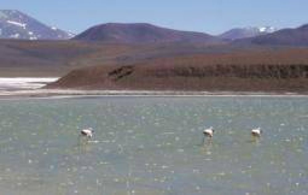 Preocupa el deterioro ambiental que est� sufriendo la Laguna Brava