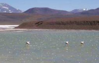 Preocupa el deterioro ambiental que est� sufriendo la Laguna Brava