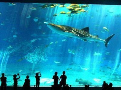 Anuncian la presentaci�n de un revolucionario proyecto de acuario