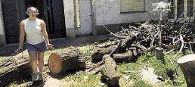 La feroz tormenta del 2 de febrero le cuesta a Rosario $13 millones 