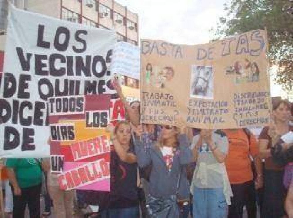 Protectoras de animales reclamaron ayer "Basta de Tracci�n a Sangre" con una marcha en Quilmes