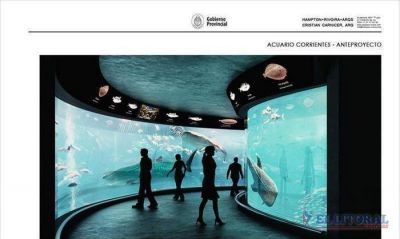 Presentaron el mega proyecto del acuario para Corrientes