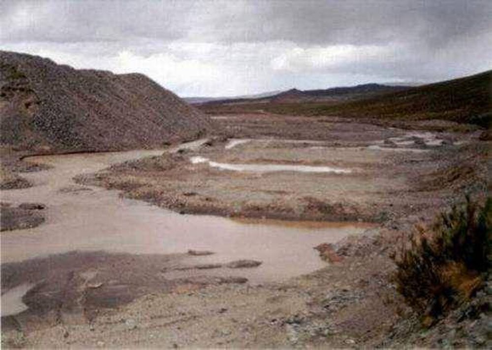 Miner�a: desmienten supuesto logro de la 
