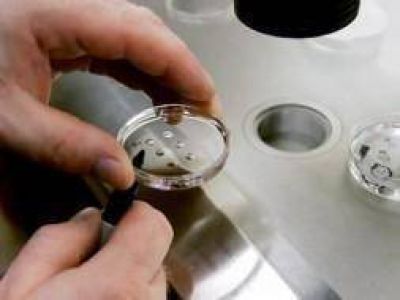 Obligan a cubrir tratamiento de fertilizaci�n asistida a una obra social