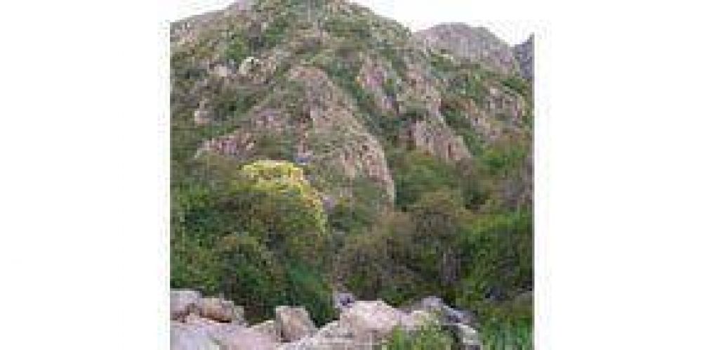 Cortaderas: un paraje natural para descansar 