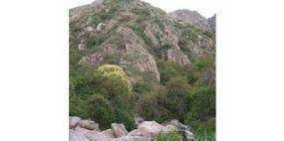 Cortaderas: un paraje natural para descansar 