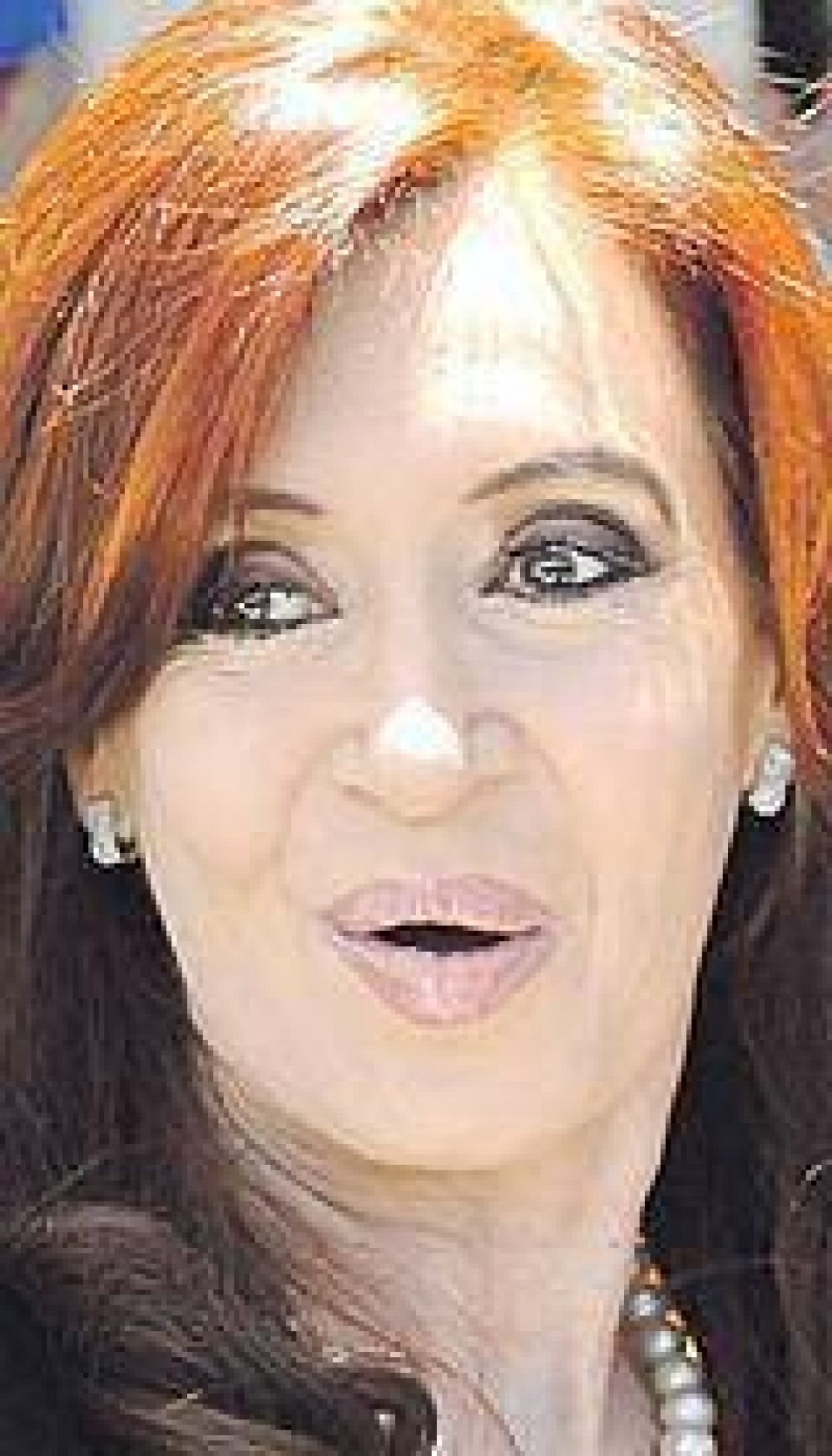 Cristina convoc� a jefes de bloque anti-K; PRO no asiste