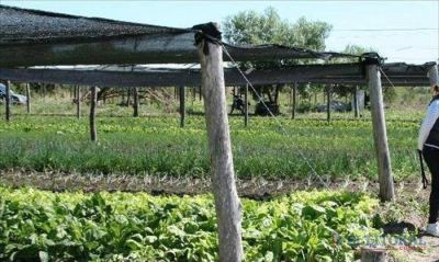 Emprendimientos periurbanos en Punta Taitalo y San Cayetano