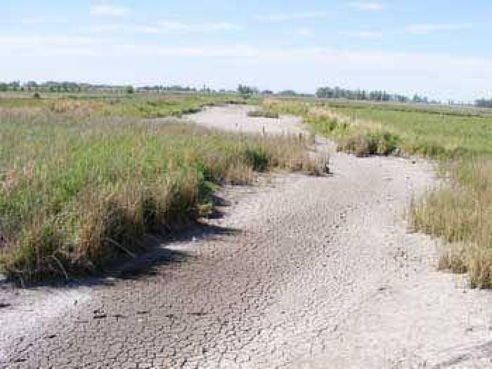 M�s 100 productores solicitaron la Emergencia Agropecuaria.