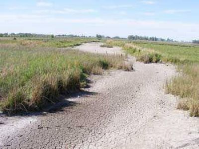 M�s 100 productores solicitaron la Emergencia Agropecuaria.