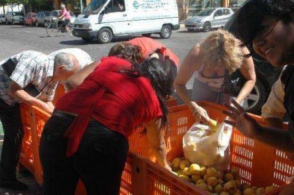  	 Regalan m�s de 25 toneladas de pera que no se pudo vender .