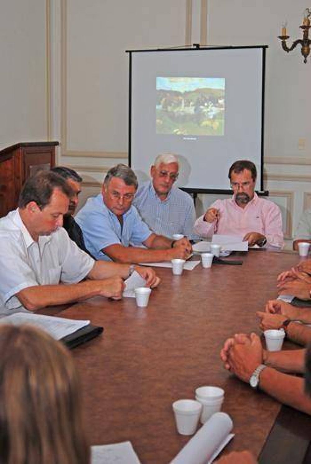 Conformaron la Comisi�n Local.