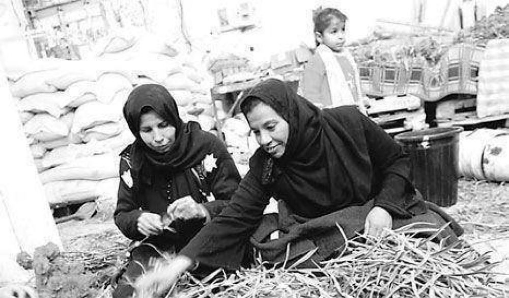 Tregua de las flores en Gaza.