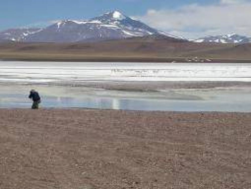 La reserva Laguna Brava estar� cerrada hasta el 1 de septiembre