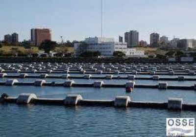 Avanzan los trabajos en el emisario submarino