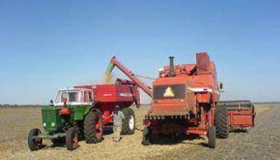Seg�n PROGRANO, la Naci�n recaud� $700 millones en retenciones al campo salte�o.