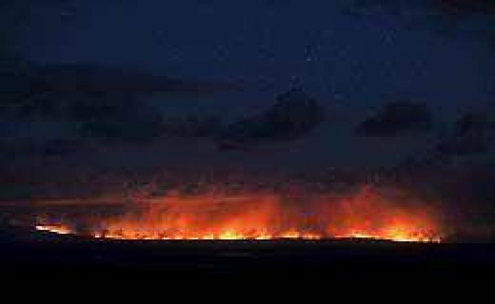 Australia: miles de bomberos combaten los incendios que siguen sin control 