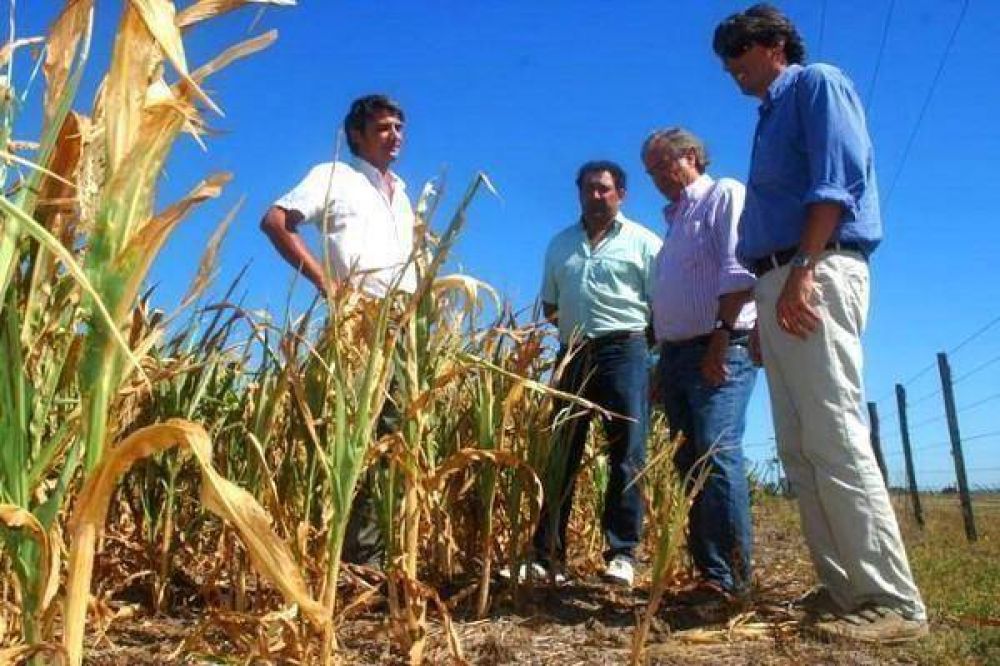 El INTA brinda informaci�n sobre el estado de los cultivos en la zona
