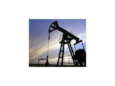 Desde el Gobierno admitieron que la empresa de energ�a podr�a asociarse a YPF