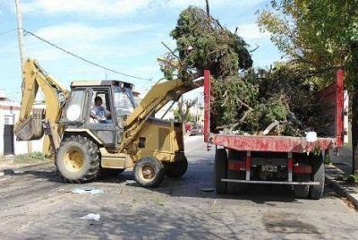 Municipio, cooperativistas y ej�rcito nacional trabajan en Lan�s