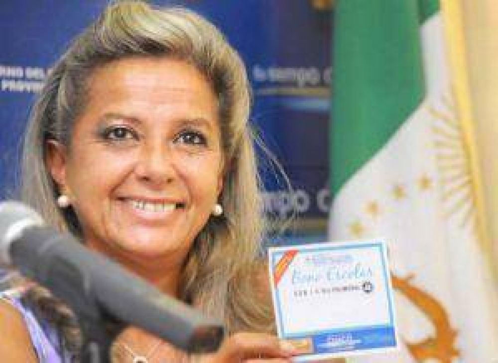 El gobierno distribuir� 319.000 bonos escolares.