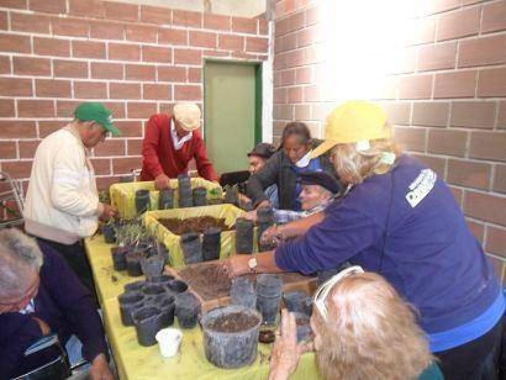 Clases Sobre El Desarrollo De Flores Arom�ticas Y Medicinales Para La Tercera Edad